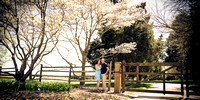 Katherine + Rob : Engagement